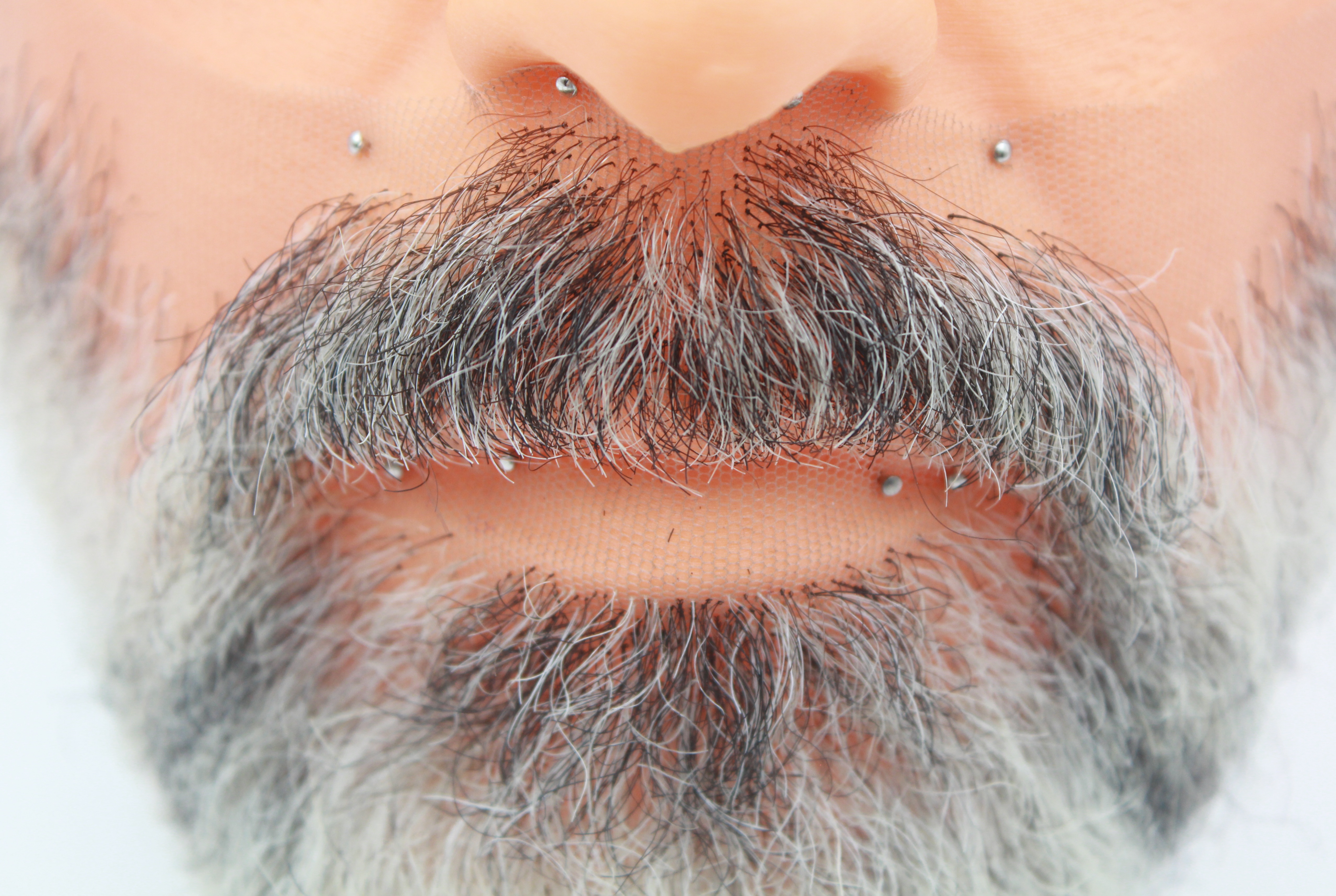 Beard and mustache 2025