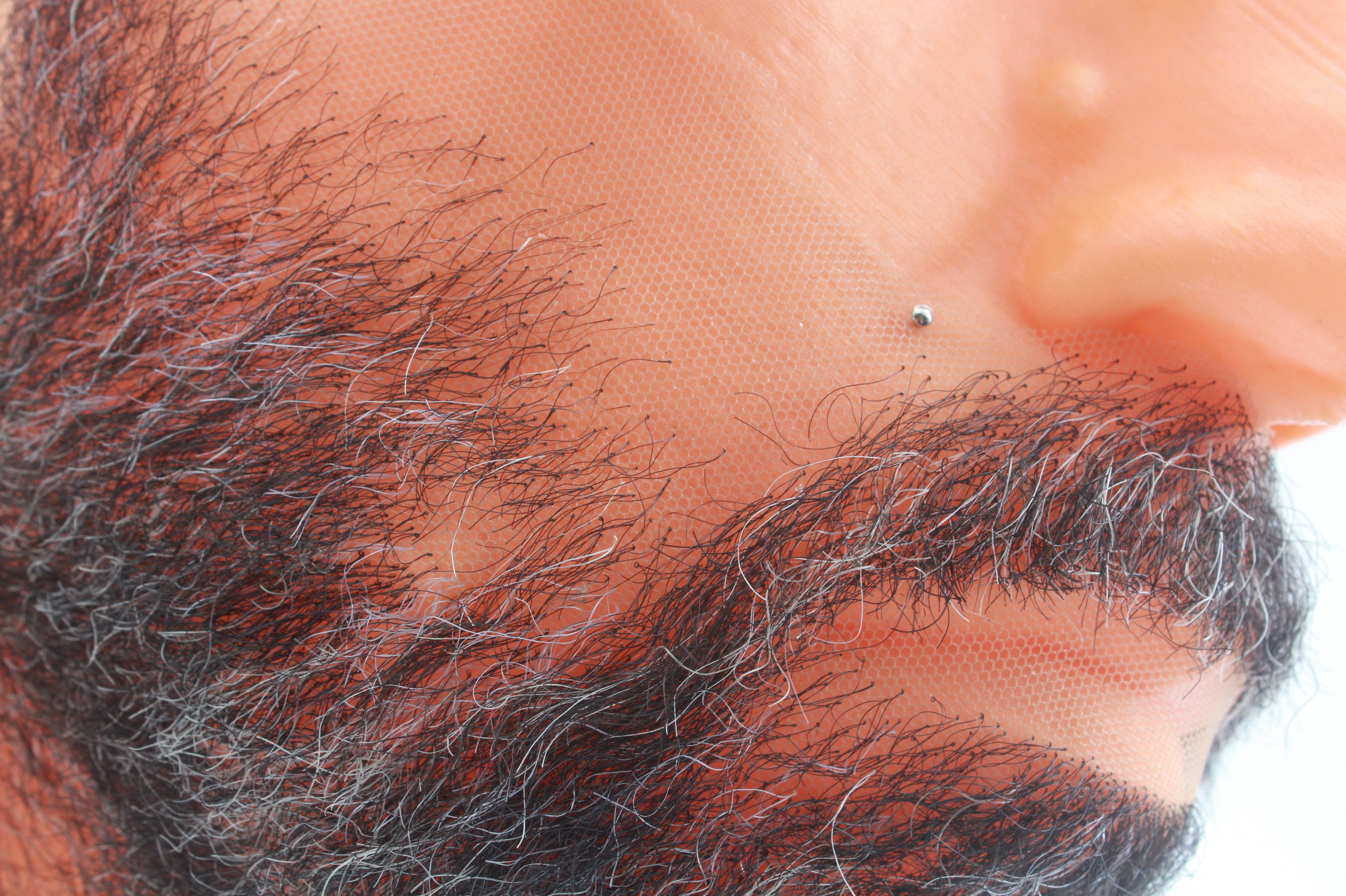 Beard and mustache 2024