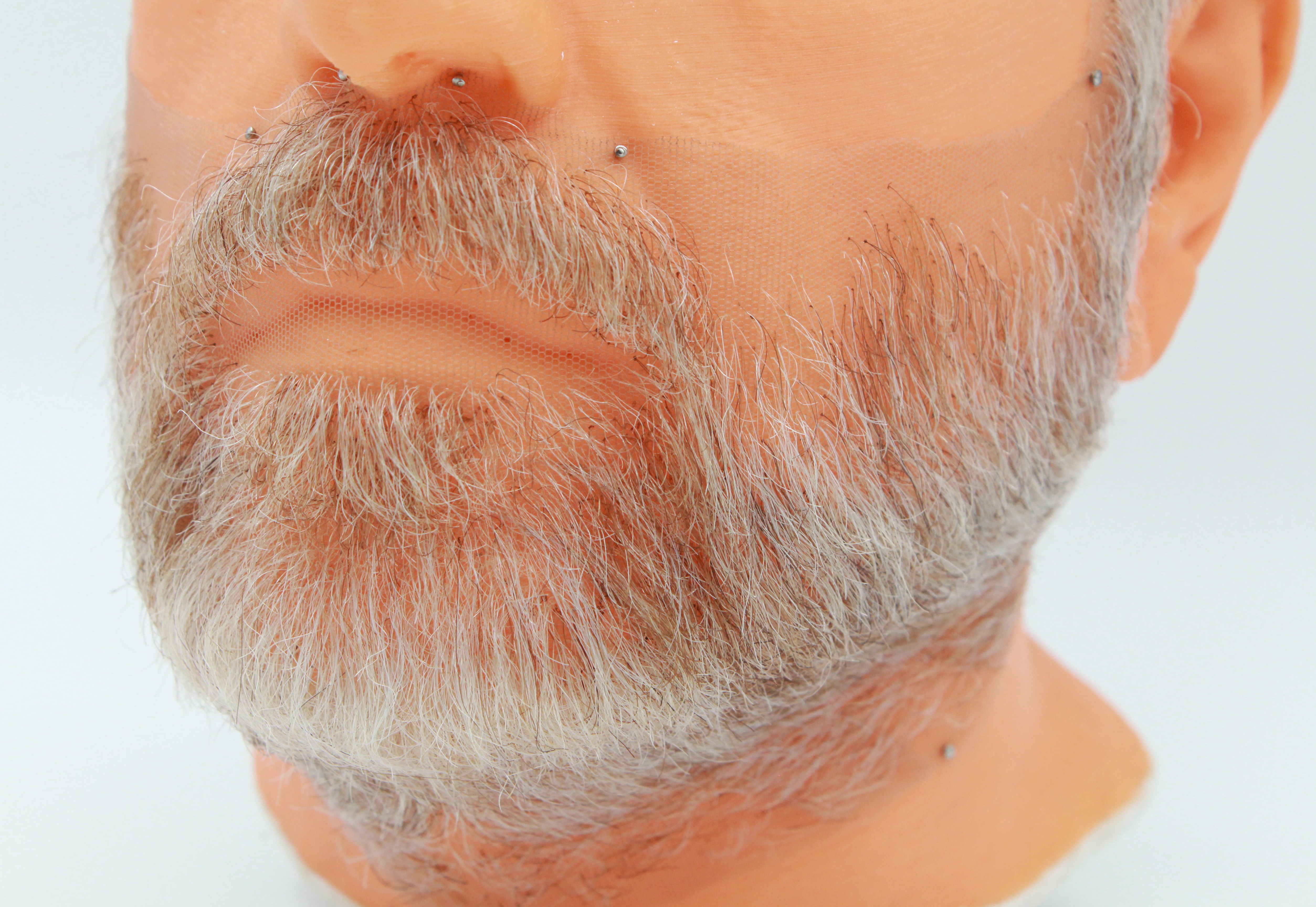 Beard and mustache 2026